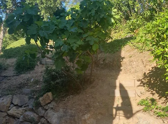 Lumie - Superbe Pour 8 Personnes Entierement Renovee En 2023 Avec Piscine Privee Villa *