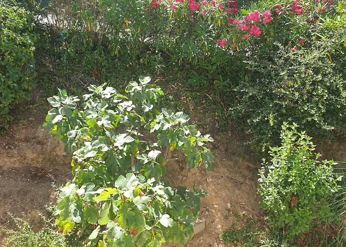 Lumie - Superbe Pour 8 Personnes Entierement Renovee En 2023 Avec Piscine Privee Villa Sainte-Maxime