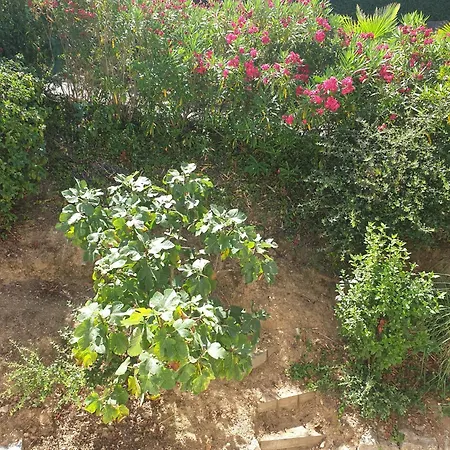 Lumie - Superbe Pour 8 Personnes Entierement Renovee En 2023 Avec Piscine Privee ヴィラ サント・マキシム