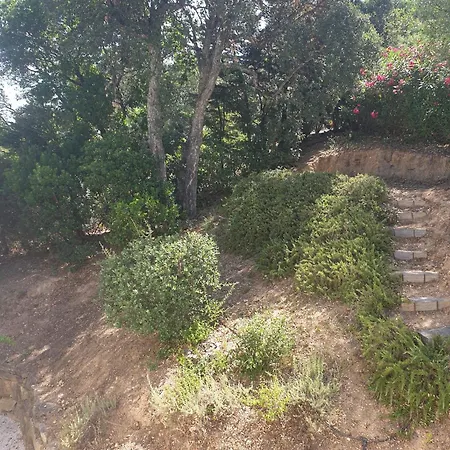 Lumie - Superbe Pour 8 Personnes Entierement Renovee En 2023 Avec Piscine Privee サント・マキシム